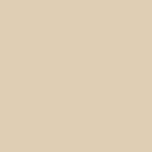 Beige 2737